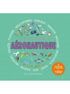 Aéronautique : Ingénieur En Herbe