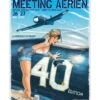 Affiche « Meeting La Ferté-Alais 2012 » - 50 X 70 Cm