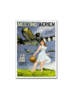 Affiche « Meeting La Ferté-Alais 2014 » - 50 X 70 Cm