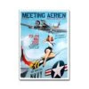 Affiche « Meeting La Ferté-Alais 2015 » 50 X 70 Cm -BOUTIQUE AERO affiche meeting la ferte alais 2015