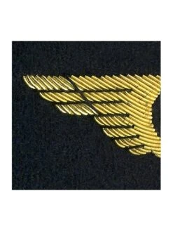 Ailes De Poitrine PNT à Plat (tricolore) -BOUTIQUE AERO ailes de poitrine p n t a plat 1