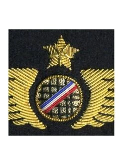 Ailes De Poitrine PNT à Plat (tricolore) -BOUTIQUE AERO ailes de poitrine p n t a plat 2