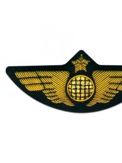 Ailes De Poitrine PNT Aimantées -BOUTIQUE AERO ailes de poitrine pnt aimantees 2