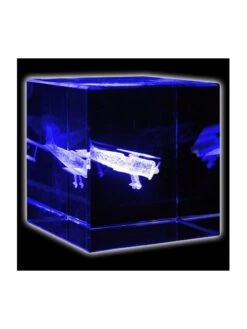 Bloc De Verre Biplan (40 X 40 X 40 Mm)