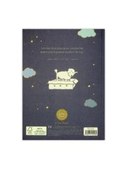 Bonne Nuit, Petit Prince -BOUTIQUE AERO bonne nuit petit prince 1