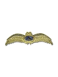 Broche Ailes 75 Mm