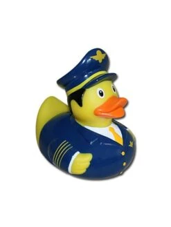 Canard Pilote De Ligne