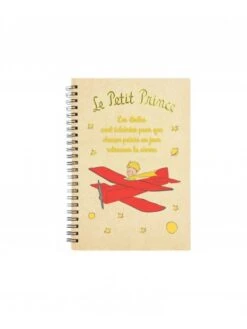 Carnet Le Petit Prince - Avion - à Spirales