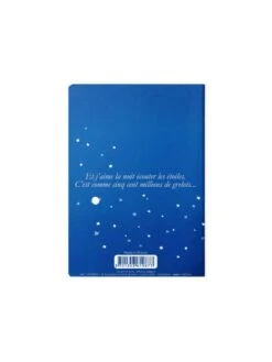 Carnet Petit Prince Dans Son Avion -BOUTIQUE AERO carnet petit prince dans son avion 1