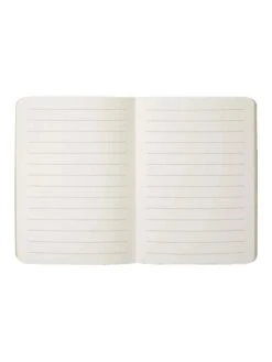 Carnet Petit Prince Dans Son Avion -BOUTIQUE AERO carnet petit prince dans son avion 3