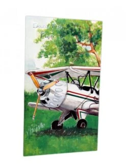 Carte Bonne Fête Papa (avion Blanc)