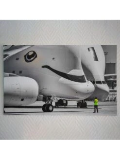 David Et Les Deux Belugas -BOUTIQUE AERO david et les deux belugas 1