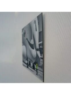 David Et Les Deux Belugas -BOUTIQUE AERO david et les deux belugas 2