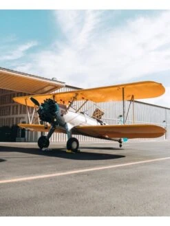 Hélice Sopwith Avec Cocardes - 186 Cm -BOUTIQUE AERO helice de decoration sopwith avec cocardes 186 cm 7