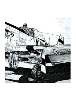 Illustration North American Mustang P51D - Extérieur -BOUTIQUE AERO illustration north american mustang p51d exterieur 2