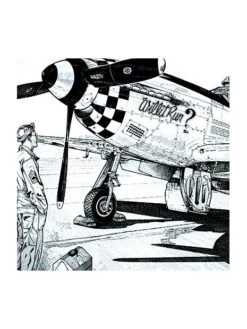 Illustration North American Mustang P51D - Extérieur -BOUTIQUE AERO illustration north american mustang p51d exterieur 3