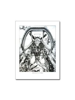 Illustration North American Mustang P51D - Tableau De Bord