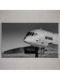 Le Bel Oiseau -BOUTIQUE AERO le bel oiseau 1 1