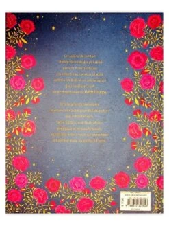 Le Petit Prince Nouvelle édition -BOUTIQUE AERO le petit prince 1