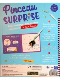 Pinceau Surprise : Le Petit Prince -BOUTIQUE AERO pinceau surprise le petit prince 1