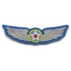 Cobi Pin's Children Wings -BOUTIQUE AERO pins children wings