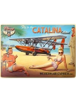 Plaque Décorative En Relief Sikorsky - Romain HUGAULT (41 X 29 Cm)