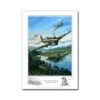 Poster Benjamin FREUDENTHAL - « Flying Tiger Squadron » - 50 X 70 Cm -BOUTIQUE AERO poster flying tiger squadron