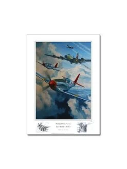 Poster Benjamin FREUDENTHAL - Mustang P51C, Lee ARCHER, Tuskegee Airmen -BOUTIQUE AERO poster mustang p51c lee archer tuskegee airmen 1