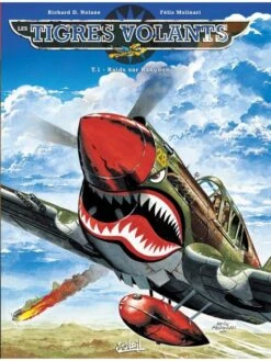 Tigres Volants - Tome 1, Raids Sur Rangoon