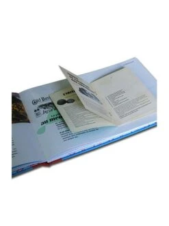 Vol Au-dessus Des Merveilles Du Monde -BOUTIQUE AERO vol au dessus des merveilles du monde 4